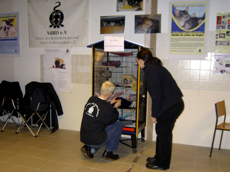 Letzte Handgriffe am Käfig