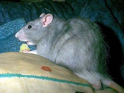 Nun ist Neel fast 5 Monate alt