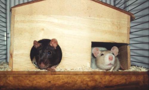 Nele & Bonnie