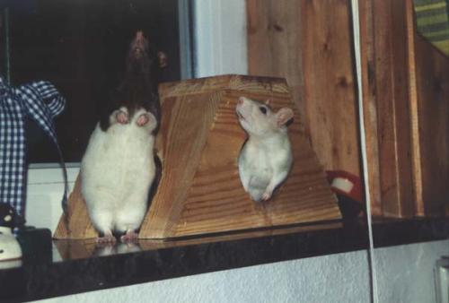 Nele & Bonnie