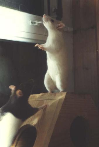 Nele & Bonnie