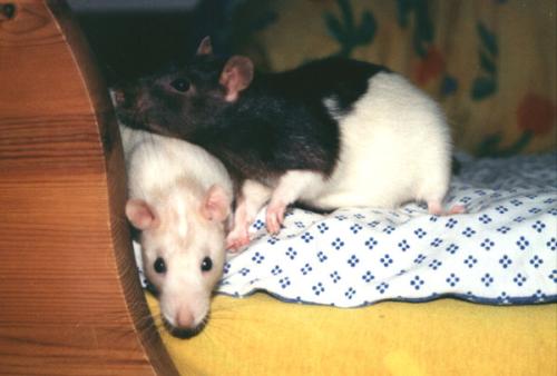 Bonnie & Nele