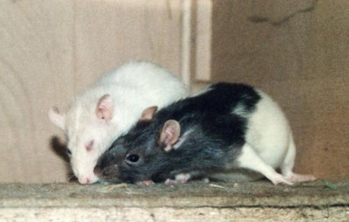 Bonnie & Nele