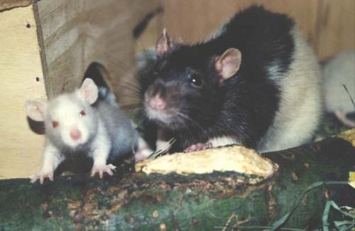 Jeanny & Nele