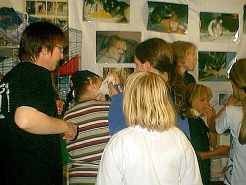 Großer Andrang bei den Streichelratten