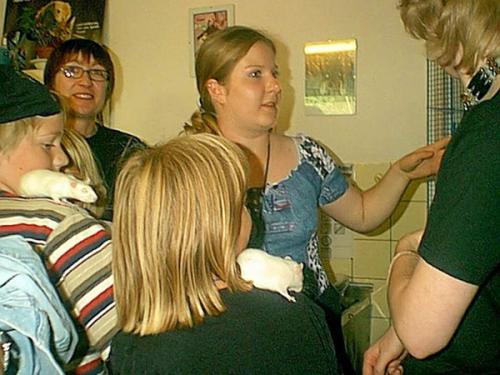 Fragen werden beantwortet