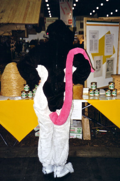 Riesenratte von hinten