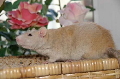 Kiana, 2 Jahre 2224